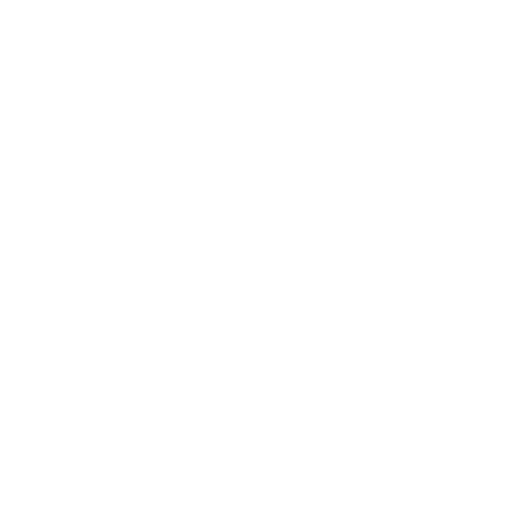 Term Finance (SME TT) Limited logo
